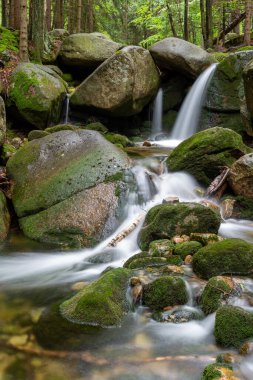 Dağ dere taşları ile olan temiz su.
