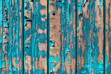 Doğal desenli eski mavi ahşap doku..