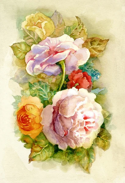 水彩花卉集合: 玫瑰 — 图库照片