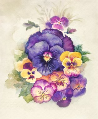 Suluboya Flora koleksiyonu: Viola Tricolor