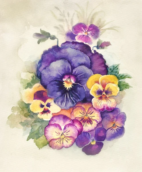Kolekce akvarel Flora: Viola Tricolor Stock Fotografie