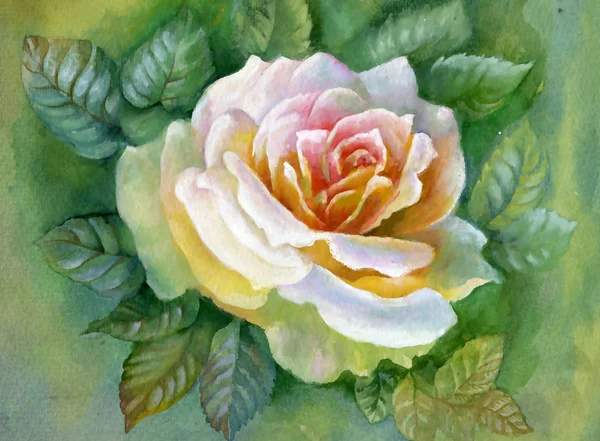 WATERCOLOR FLOWER-ROSE — Stock Photo, Image