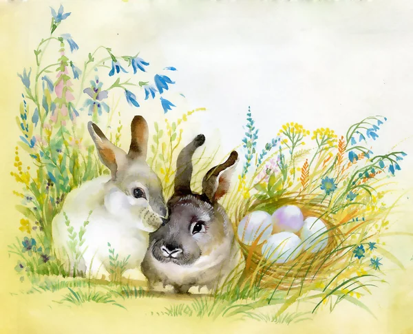 수채화 동물 컬렉션: 토끼 — 스톡 사진