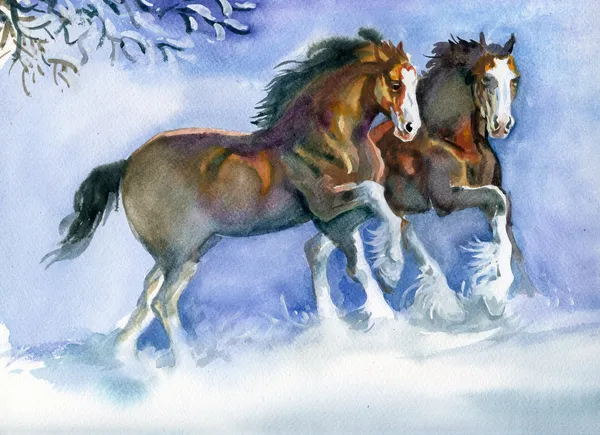 Hästar som springer på vintern — Stockfoto