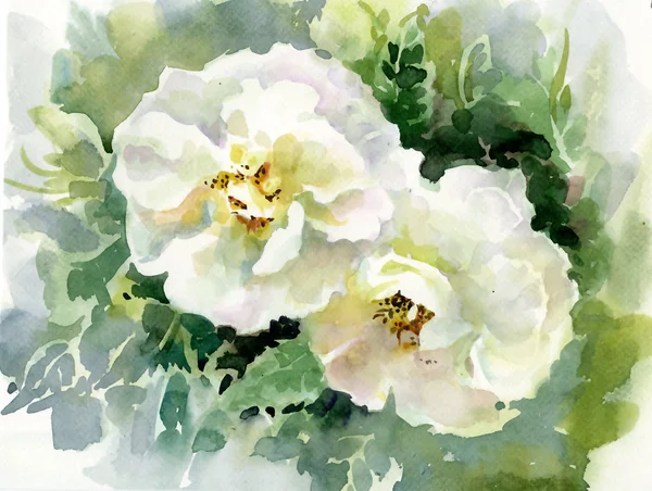 Watercolor Roses — Stock Photo, Image