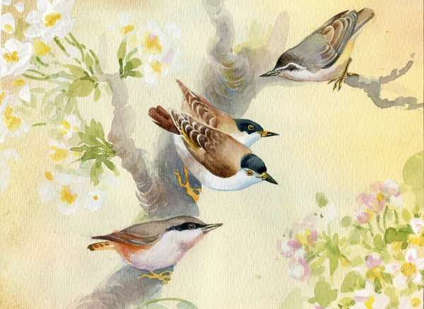 Птицы на цветущей яблоне — стоковое фото