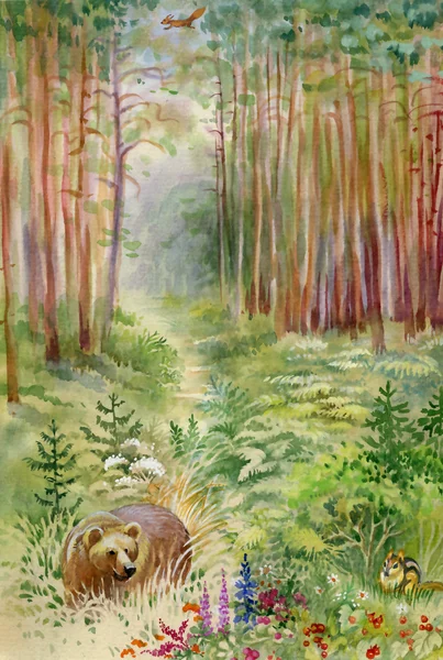 Ormandaki ayı. — Stok fotoğraf