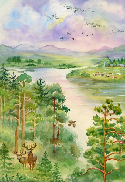 Lato pejzaż z rzeką, sosny, drzewa i jelenia — Zdjęcie stockowe