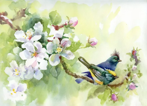 Painting collection Birds of spring — Stock Photo, Image