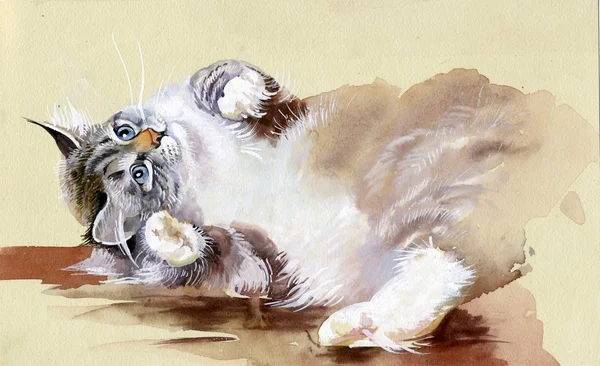 Akvarel sbírku zvířat: kočky — Stock fotografie