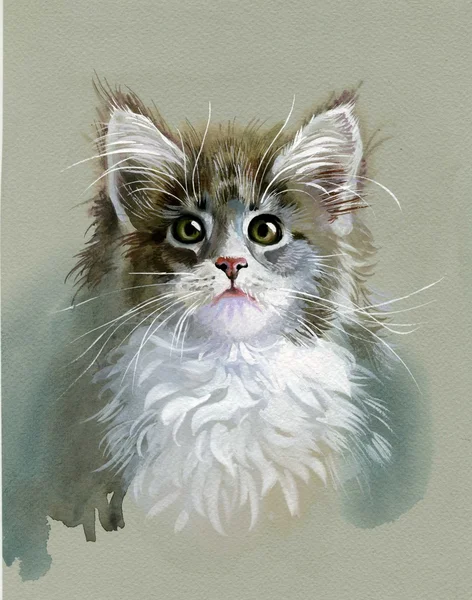 水彩動物コレクション: 灰色猫 — ストック写真