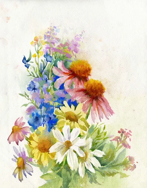 A bouquet of wildflowers — Stock Photo, Image