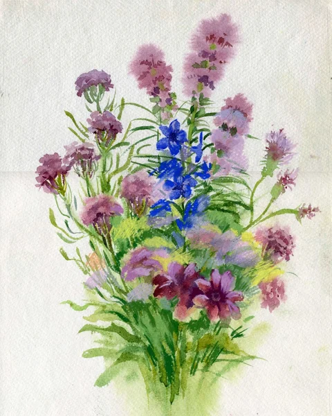 Літній букет квітів Стокова Картинка