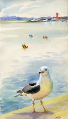 Watercolor seagulls clipart