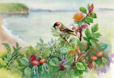 Watercolor sparrow on dog-rose clipart