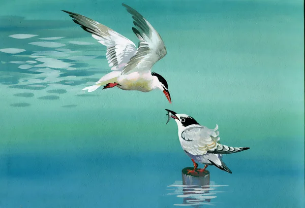 Akvarell fåglar — Stockfoto