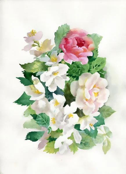Aquarel rozen boeket — Stockfoto