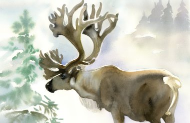 Moose in winter forest clipart