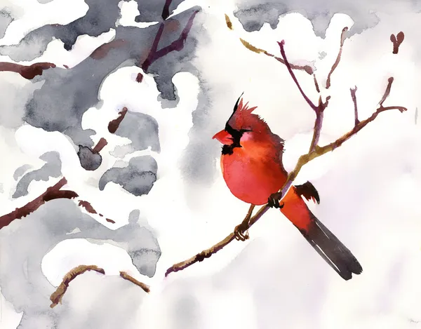 Κόκκινο πουλί σε έναν κλάδο με χιόνι — Φωτογραφία Αρχείου