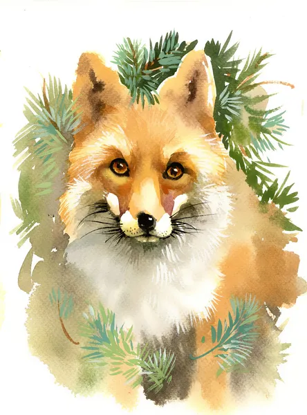 Retrato de uma raposa — Fotografia de Stock
