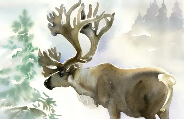 Moose in winter forest — Stockfoto