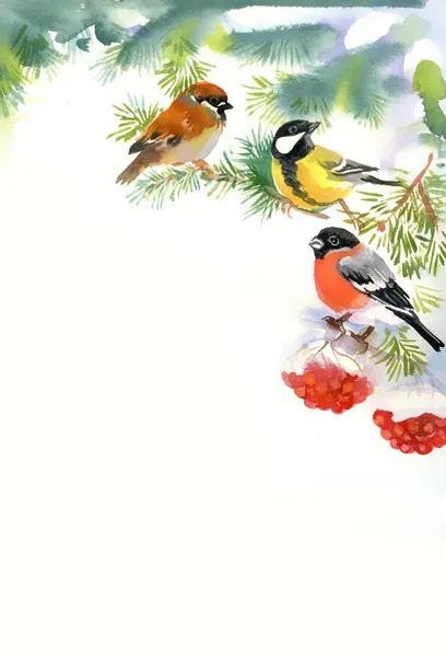 Two birds and bullfinch on the snowy branch — Stock Photo, Image