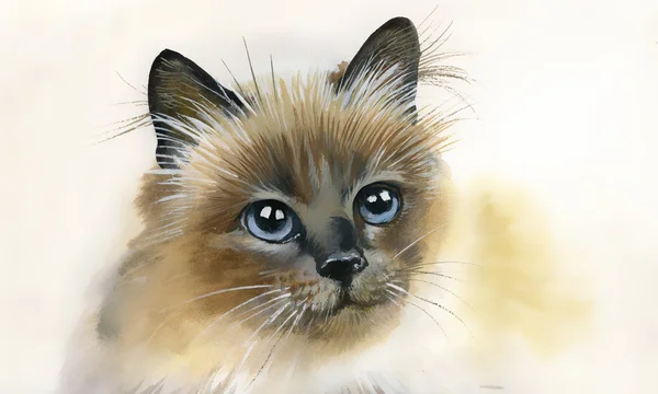 Walercolor gato — Foto de Stock