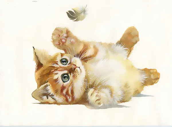 Watercolor Animal Collection: Cat and feather