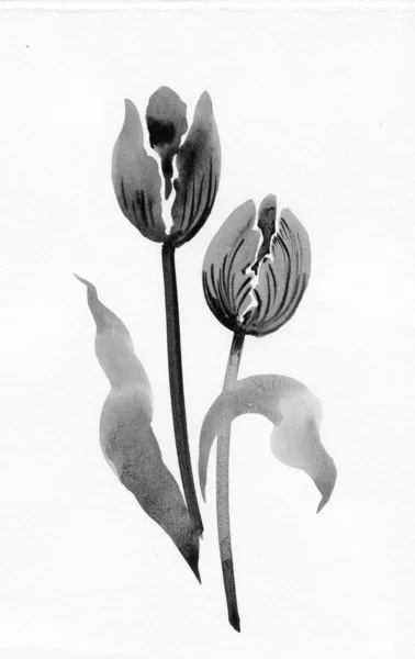 Tulipani ad acquerello — Foto Stock