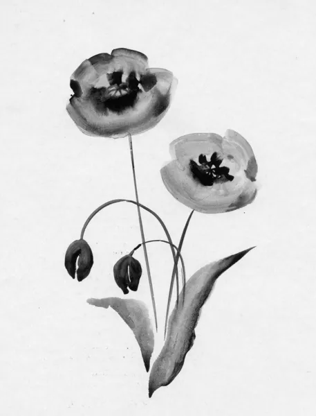 पोपी फुले, वॉटरकलर स्पष्टीकरण — स्टॉक फोटो, इमेज