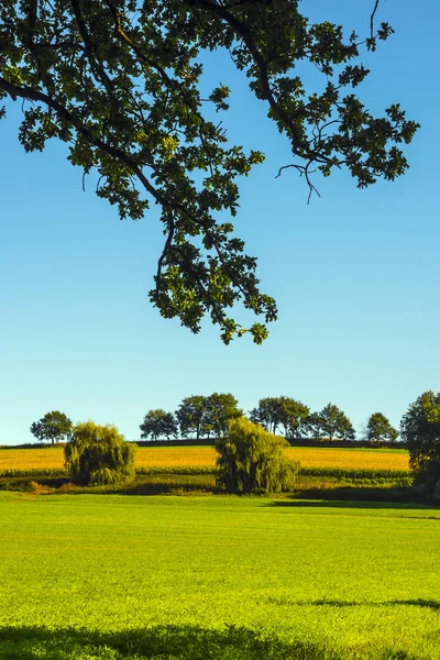 Panorama verde Baviera Germania — Foto Stock