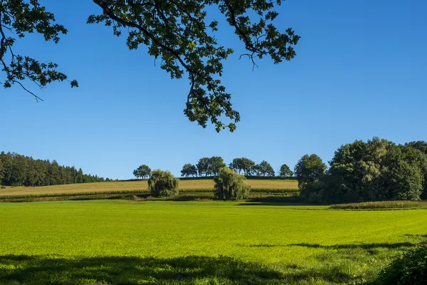 Paysage Bavière Allemagne — Photo