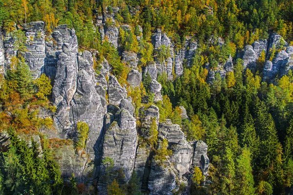 Stenar i sachsiska Schweiz — Stockfoto