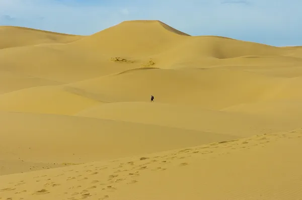 Sand dune Mongolia — Stock Photo, Image
