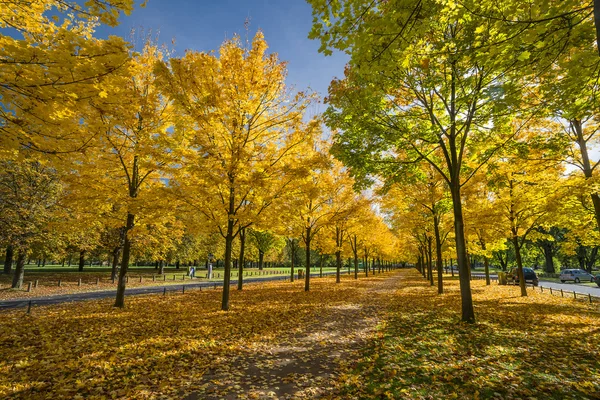 Autunno in un parco a Dresda — Foto Stock