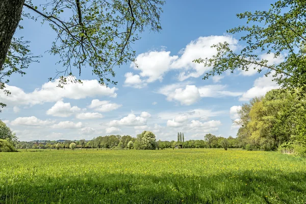 Meadows with clouds and sun — Stock Photo, Image