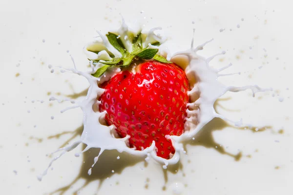 Strawberry splash — Stockfoto