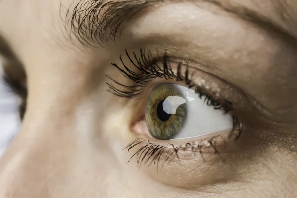 Closeup eye and iris of young woman — Stock Photo, Image