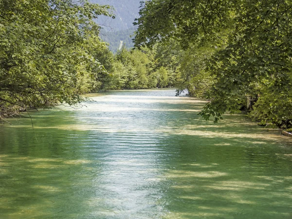 Green river with trees in summer — Stock Photo, Image