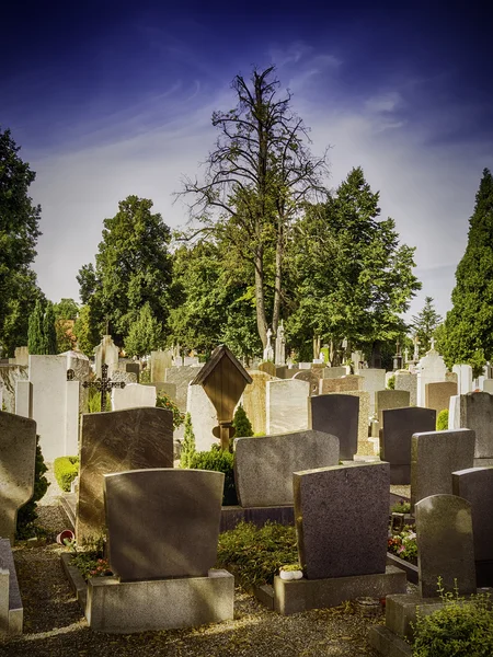 Graves in the evening — Stock Photo, Image