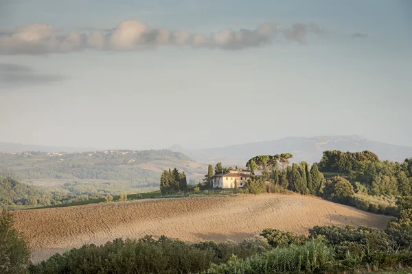 Tuscany Landscape in the morning — Stock Photo, Image