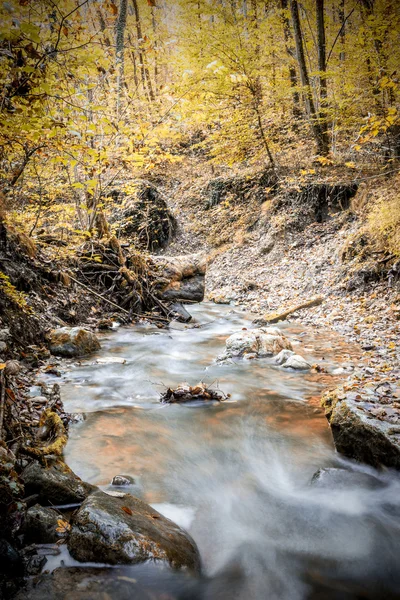 Ruisseau en forêt en automne — Photo