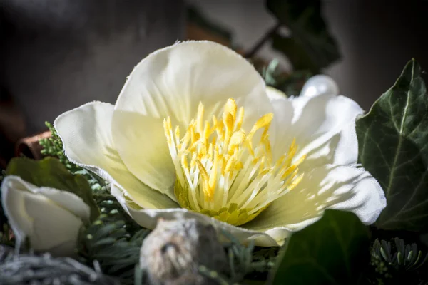 Detail shot of advent wreath — Stock Photo, Image