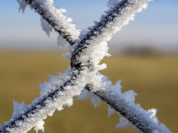 Zaun mit Frost — Stockfoto