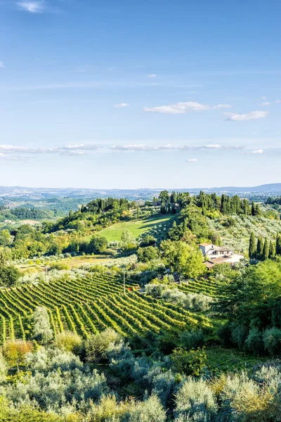 Landscape Tuscany near San Gimignano — Stock Photo, Image