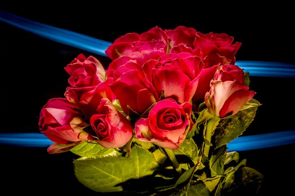 Roses with lights — Stock Photo, Image