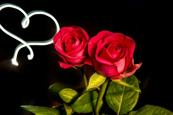 Roses with light heart — Stock Photo, Image