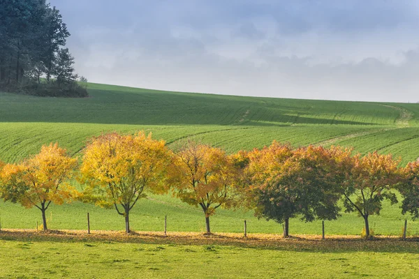 Saxon Switzerland autumn landscape — Stock Photo, Image