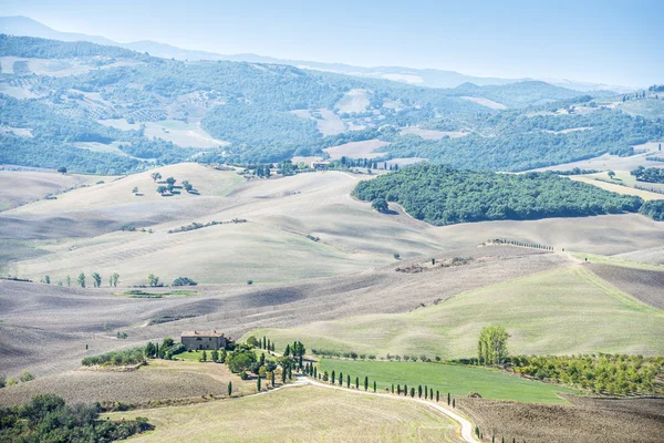 Landscape near Pienza — Stock Photo, Image