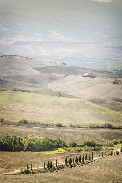 Landskap pienza — Stockfoto